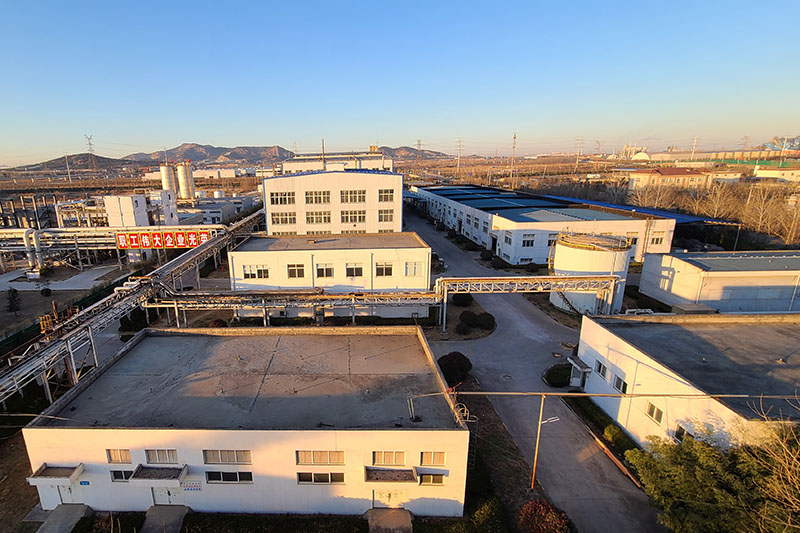 Plant panorama