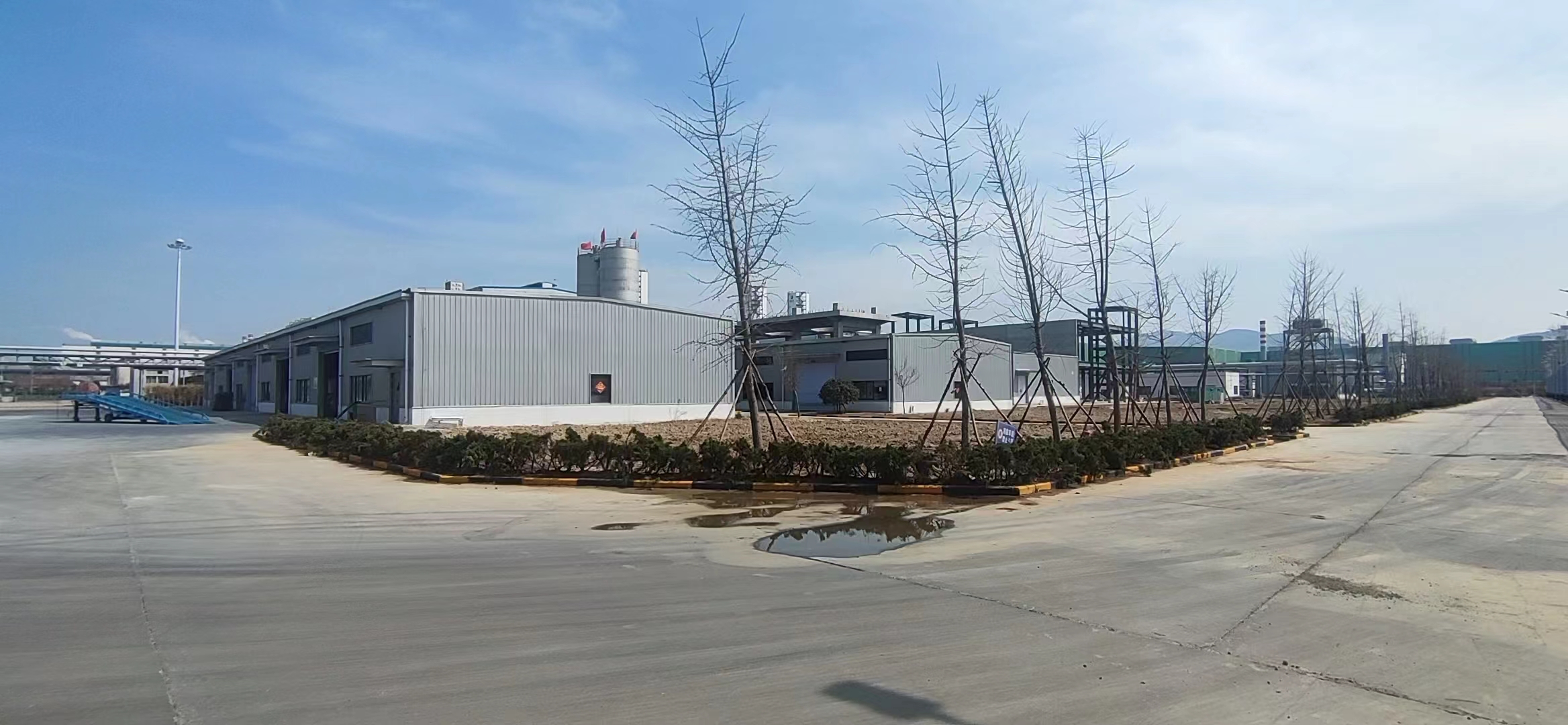 A corner of the plant